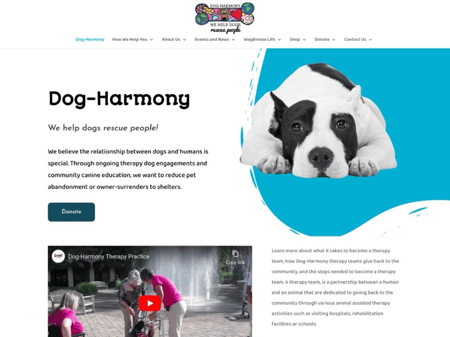 dog-harmony.org screenshot